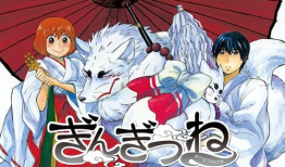 银狐动漫图片,探寻神秘银狐的奇幻冒险之旅