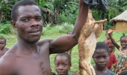 国外吃瓜爆料恐怖事件,国外吃瓜爆料恐怖事件始末